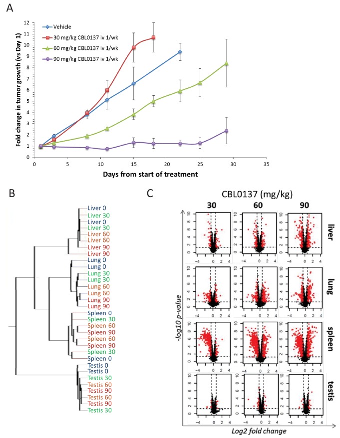 Figure 1—figure supplement 1.