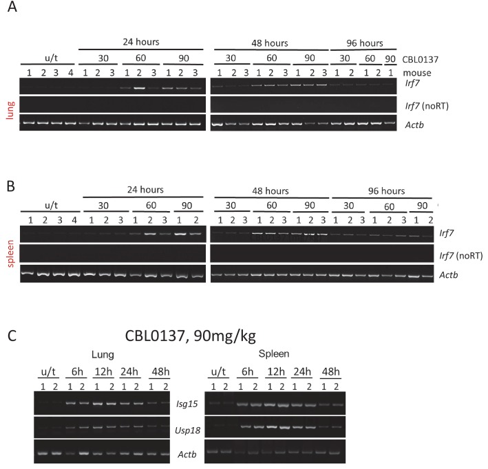 Figure 3—figure supplement 2.