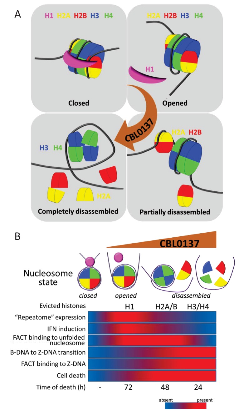 Figure 10.