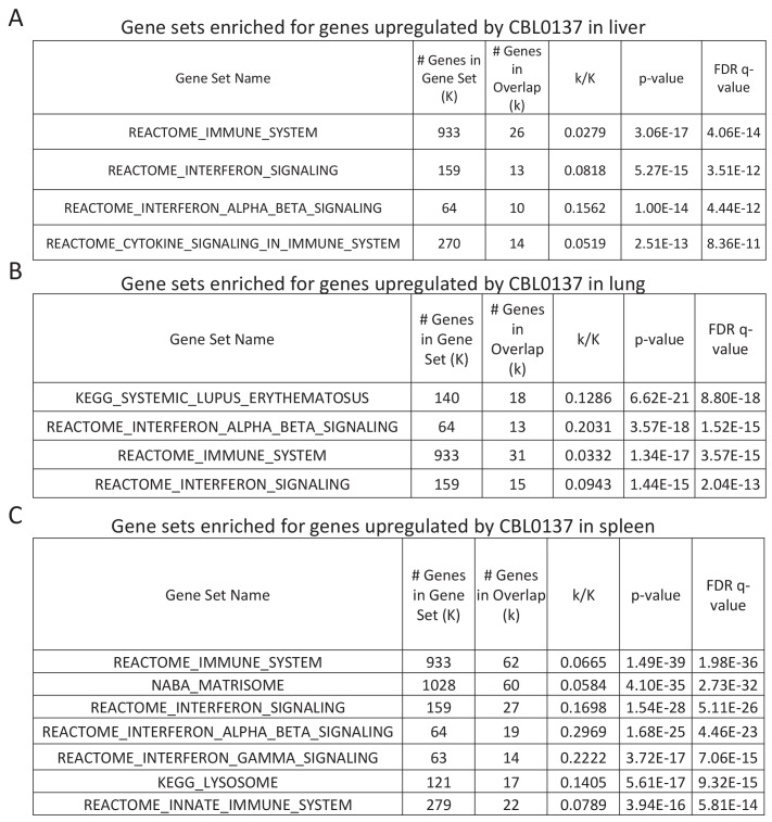 Figure 2—figure supplement 1.