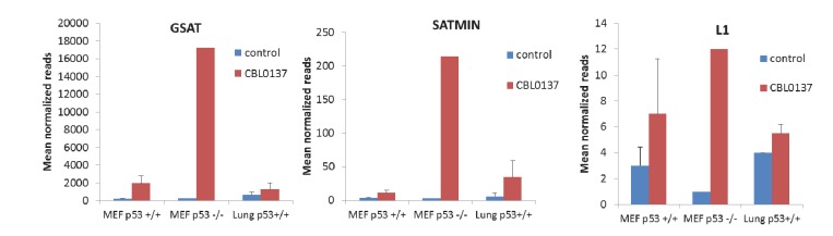 Figure 7—figure supplement 1.