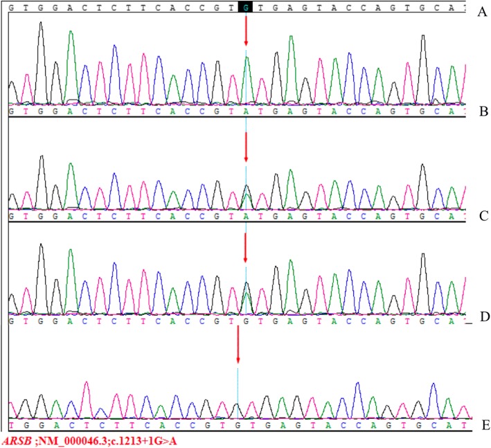 Fig. 4