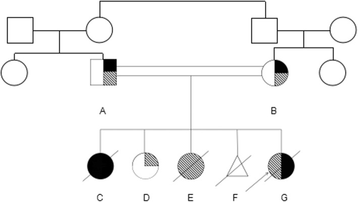 Fig. 5