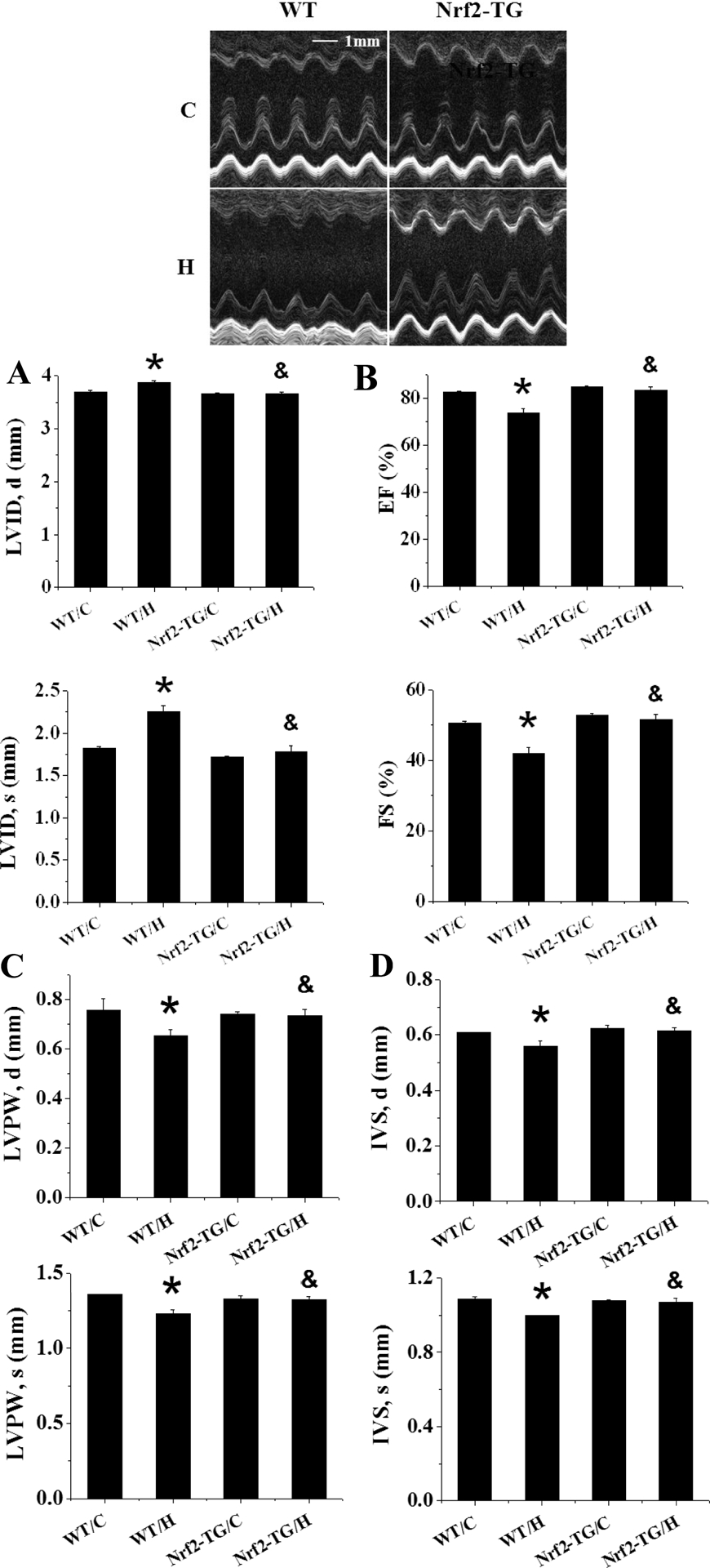 Figure 5.