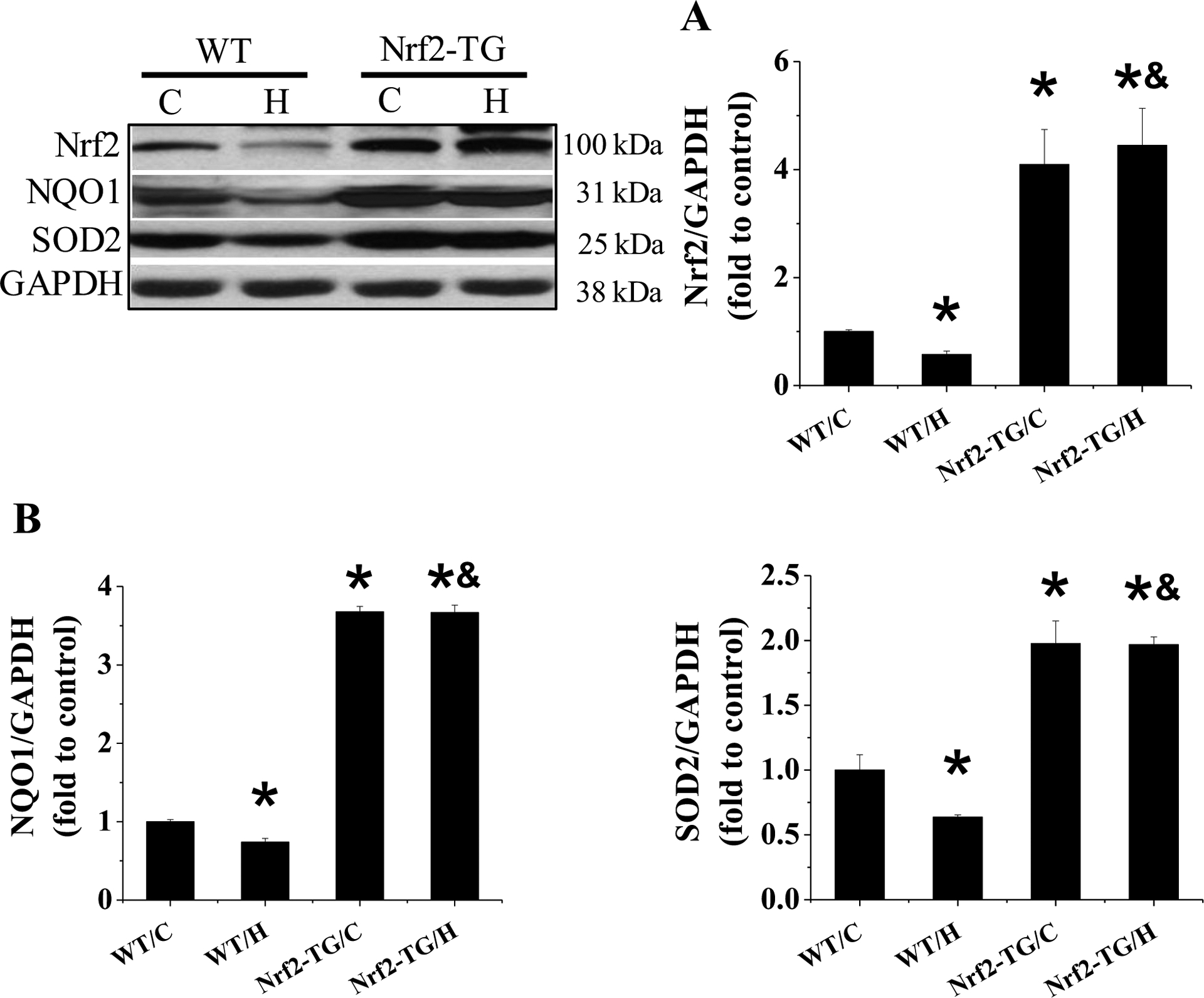 Figure 4.