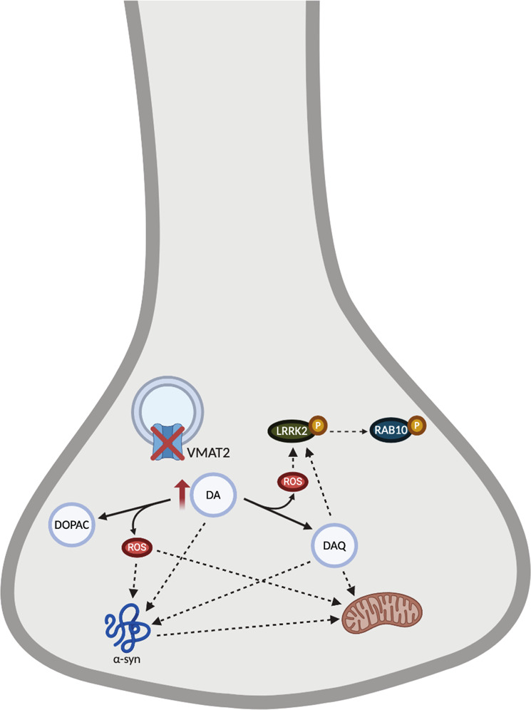 Fig. 7