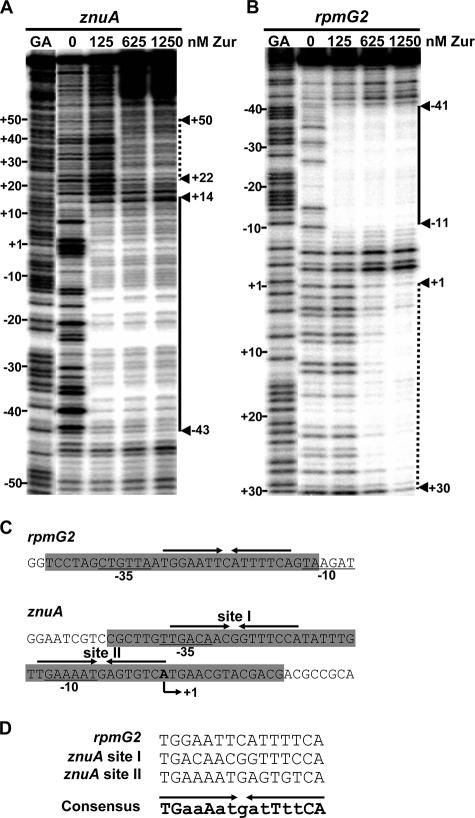 FIG. 6.