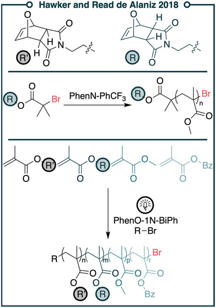 Figure 31.