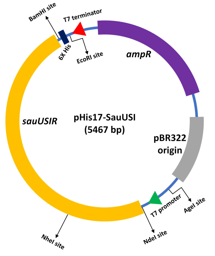 Figure 1.