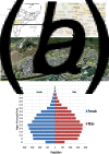 Fig. 1.