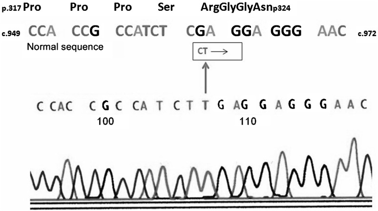 Fig. 1