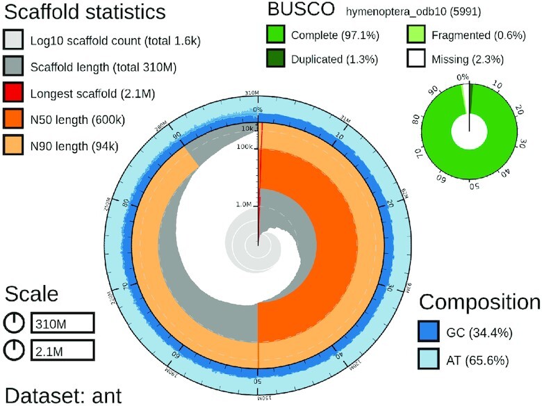 Figure 4.