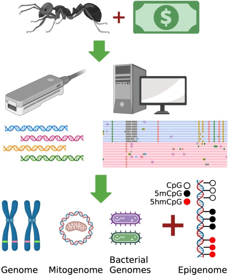 Graphical Abstract