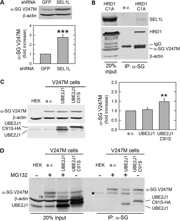 Figure 2.