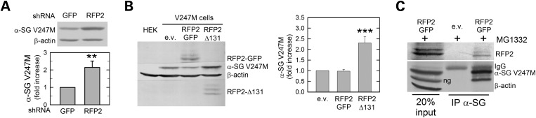 Figure 5.