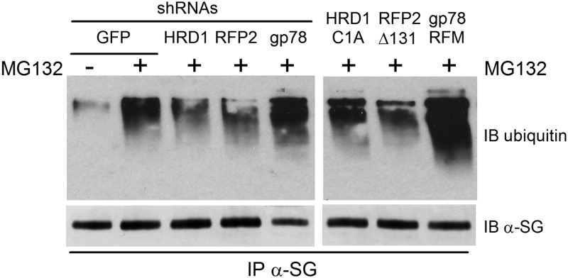 Figure 6.