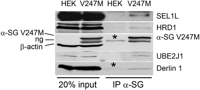 Figure 4.