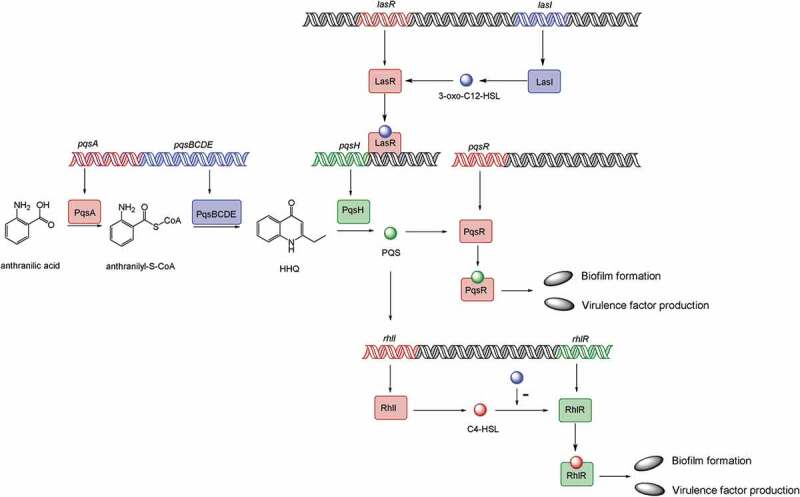 Figure 2.