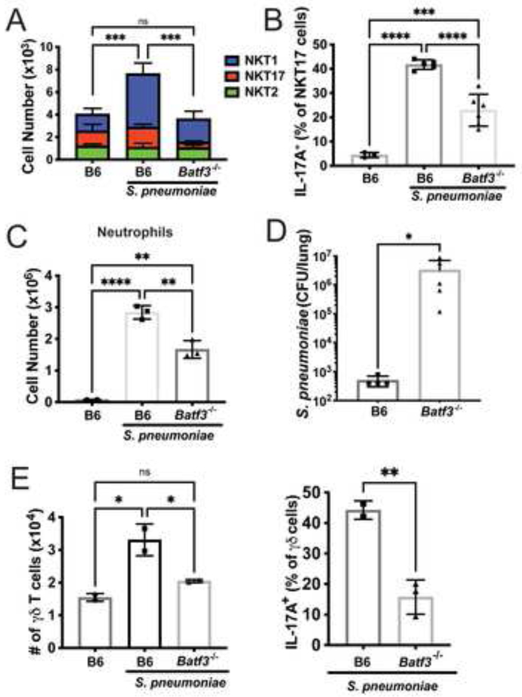 Figure 5: