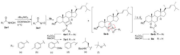 Scheme 1