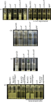 Figure 4.