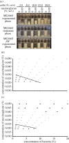 Figure 7.