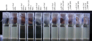 Figure 2.