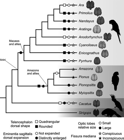 Figure 7