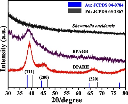 Fig. 4