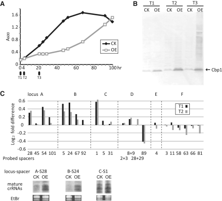 Figure 5.