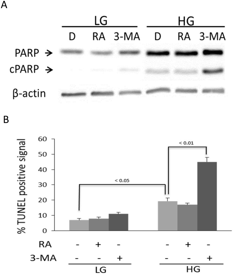 Fig 5