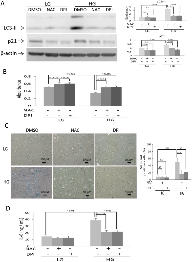 Fig 7