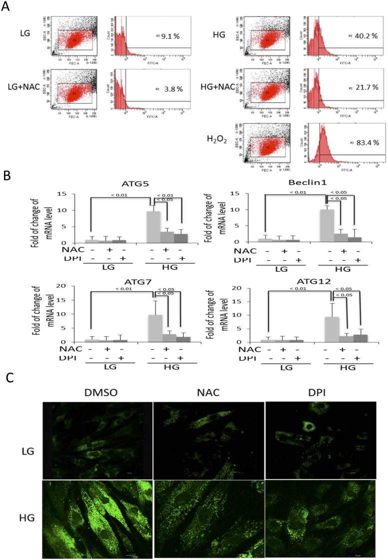 Fig 6