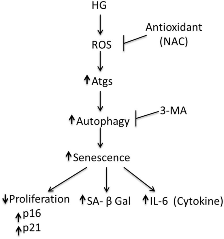 Fig 9