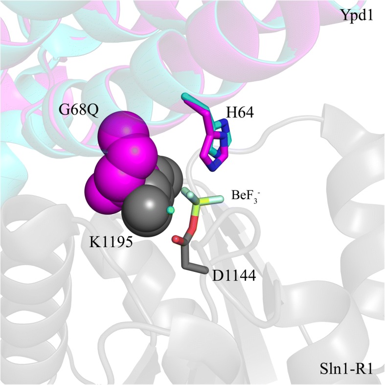 Fig. 7