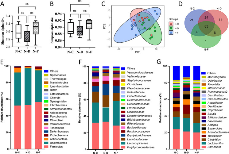 Fig. 7