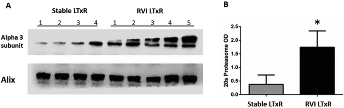 Figure 4: