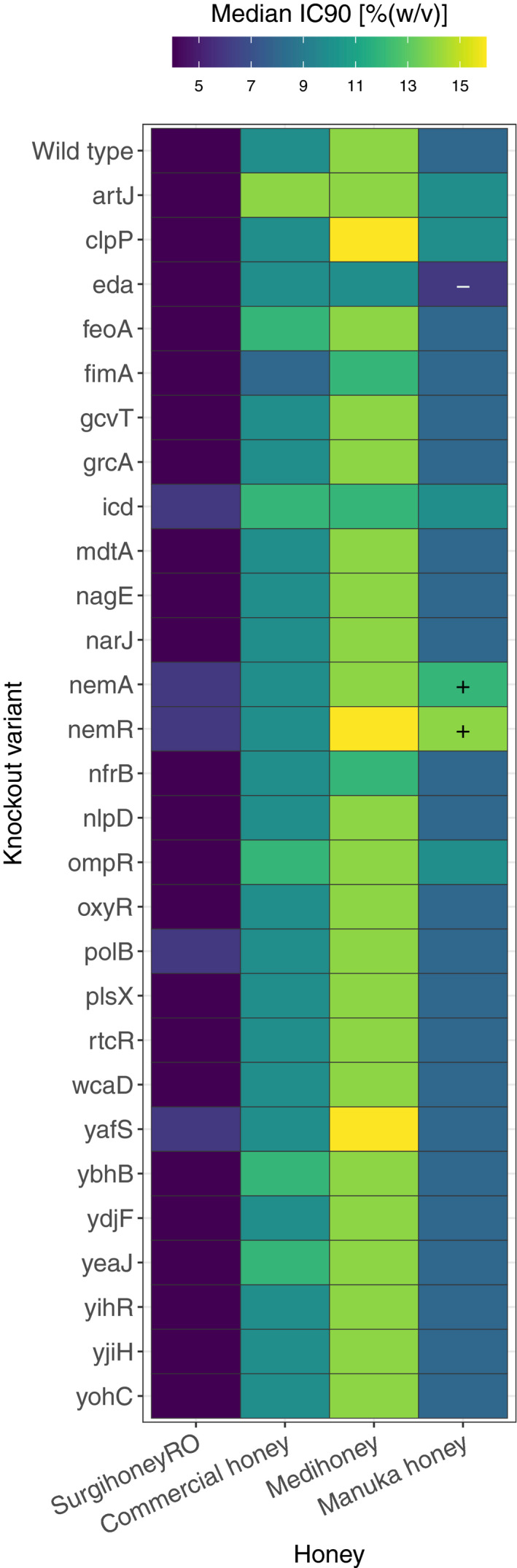 FIGURE 3