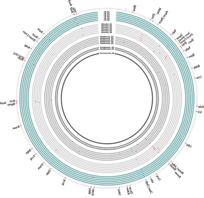 FIGURE 2