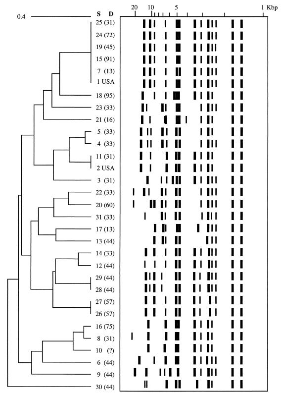 FIG. 1