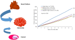 Graphical abstract
