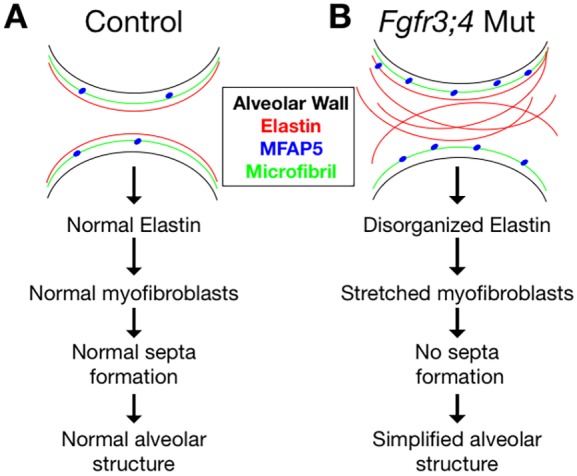 Fig. 8.