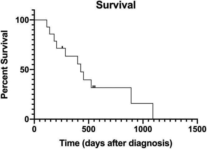 FIGURE 1