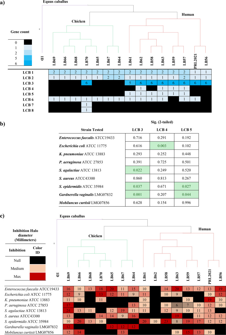 FIG 3