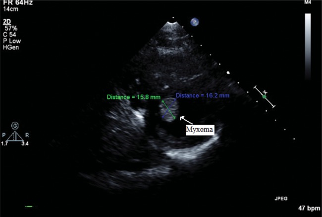 Figure 1: