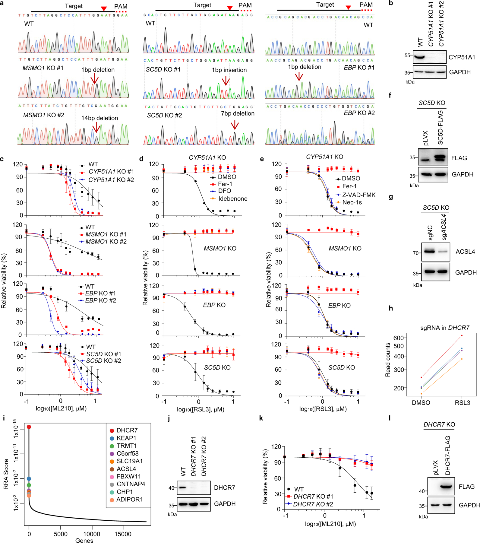 Extended Data Fig. 2|