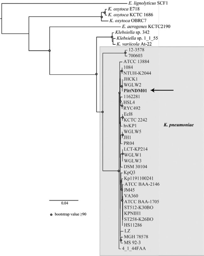 FIG 2