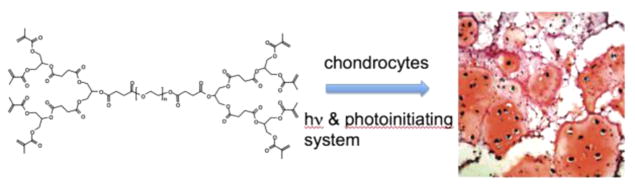 Figure 31