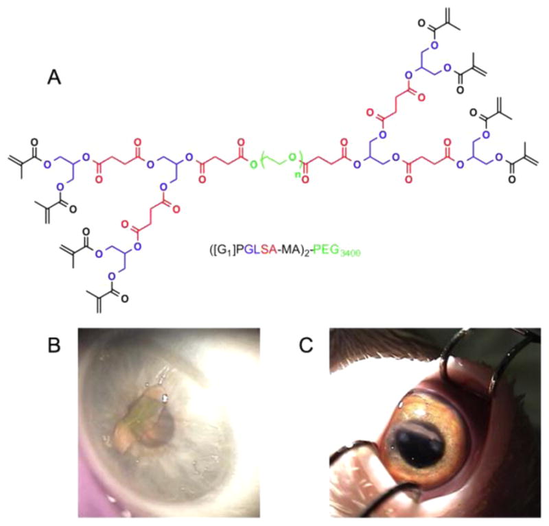 Figure 29