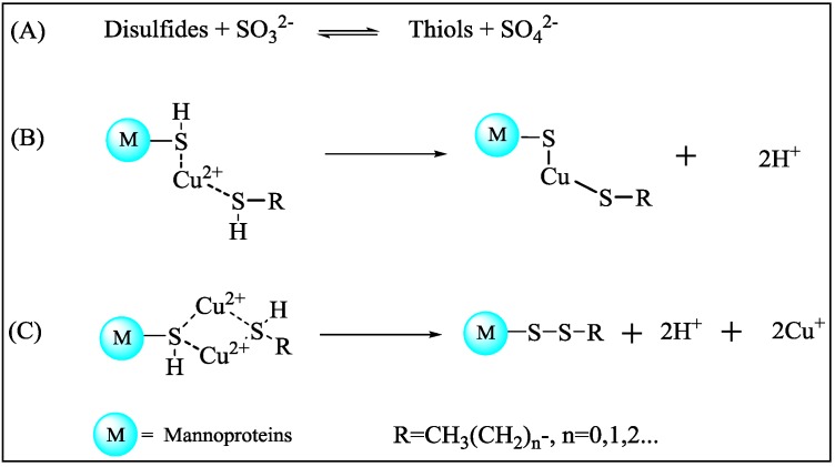 Scheme 2